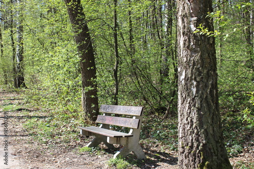 Spring nature