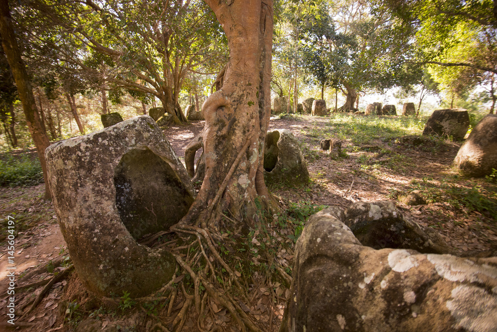 Fototapeta premium LAO PHONSAVAN PLAIN OF JARS