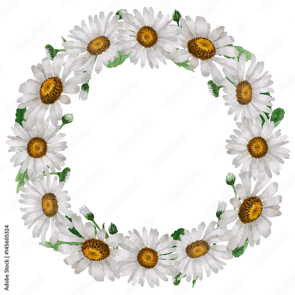 Fototapeta premium Wildflower chamomile flower wreath in a watercolor style isolated.
