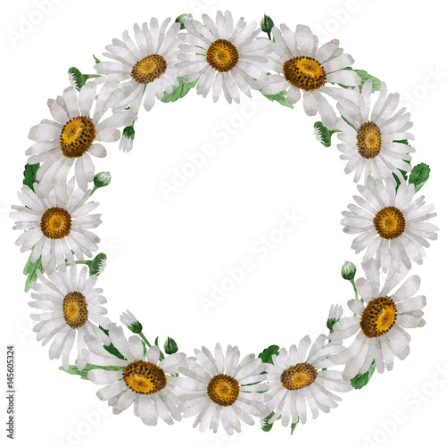 Wildflower chamomile flower wreath in a watercolor style isolated.