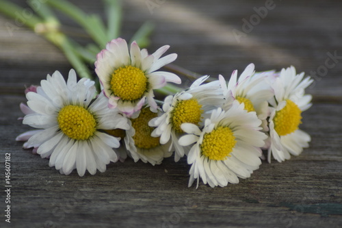 Daisy bouquet on wooden background