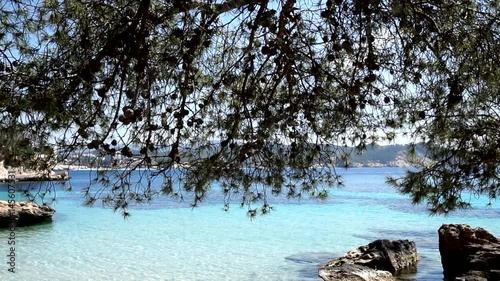 romantischer schattenplatz unter der pinie - Cala Fornells, Mallorca photo