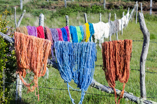 Colorful sheep wool, drying in the sun. photo