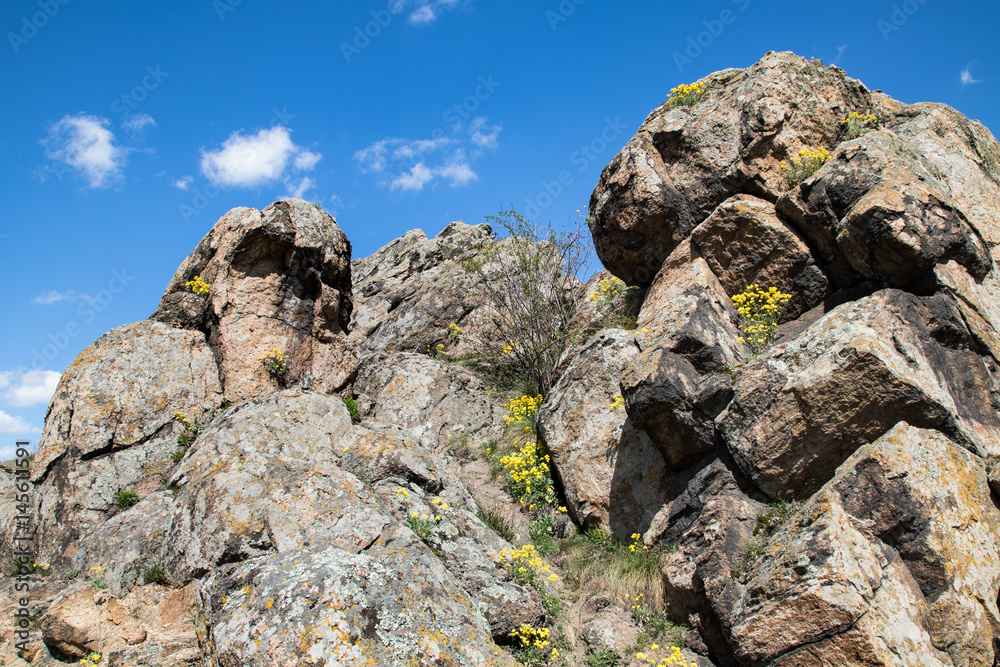 close-up view of rocks, blue sky on the background, yellow flowers between rocks, horizontal orientation