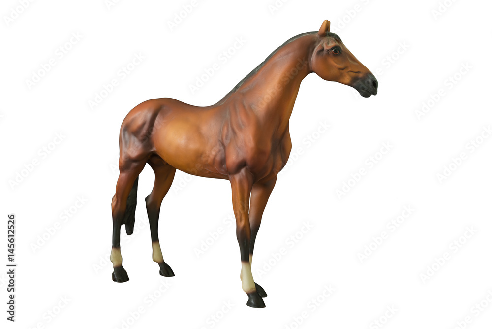 Obraz premium Wild brown horse standing isolated on white background