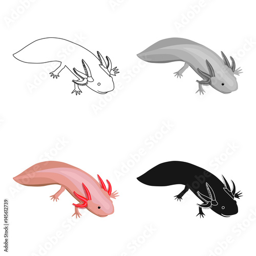 Mexican axolotl icon in cartoon style isolated on white background. Mexico country symbol stock vector illustration.