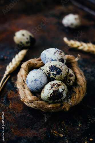 Quail eggs in nest over bla...