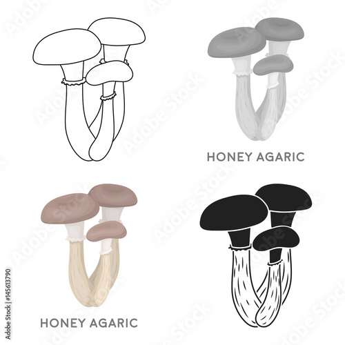 Honey agaric icon in cartoon style isolated on white background. Mushroom symbol stock vector illustration. photo