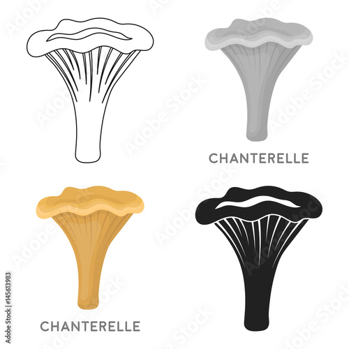 Chanterelle icon in cartoon style isolated on white background. Mushroom symbol stock vector illustration.