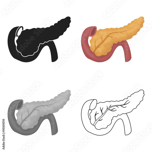 Pancreas icon in cartoon style isolated on white background. Organs symbol stock vector illustration.