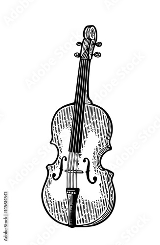 Violin. Vintage black engraving illustration