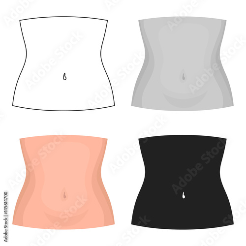 Abdomen icon in cartoon style isolated on white background. Part of body symbol stock vector illustration.