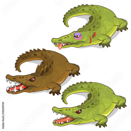 Aggressive crocodiles and crocodile with a bruise.