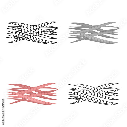 Muscle icon in cartoon style isolated on white background. Organs symbol stock vector illustration.