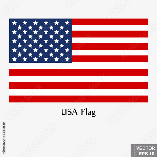 Vector USA flag for America isolated on white background. The icon.