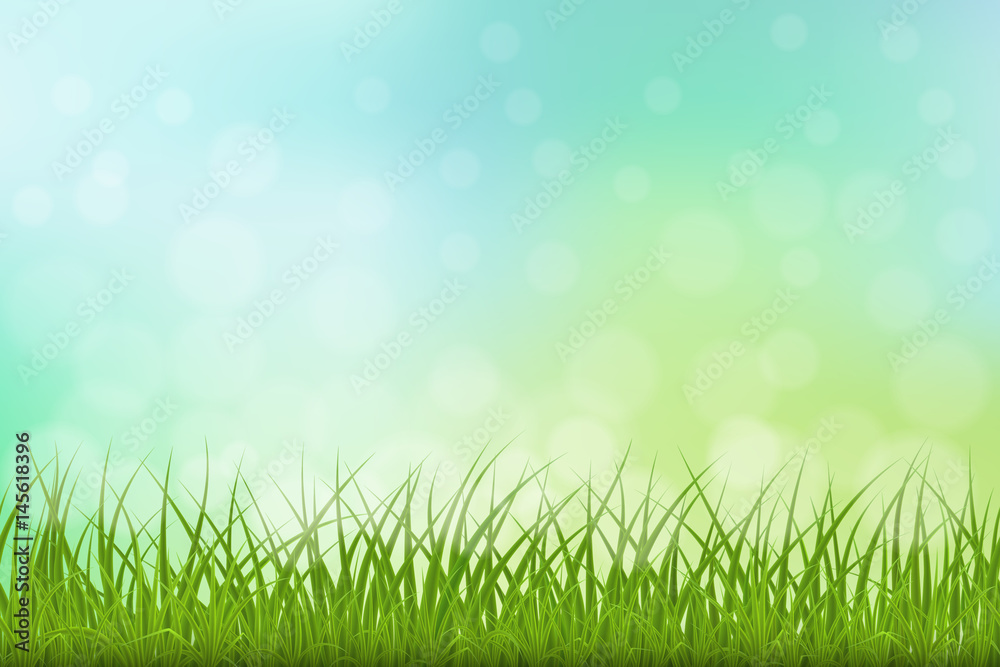 High quality green grass on natutal background, vector illustration.