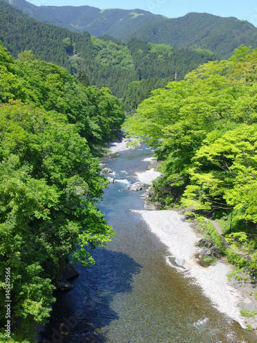 amazing natural view of mountain river surrounded by green forest at TAMAKAWA TOKYO JAPAN