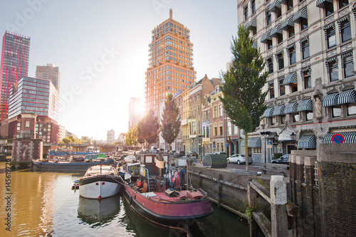The canals of Rotterdam. City channels. Street along the canal. Trees and cars along the canal in sunny weather.
 photo