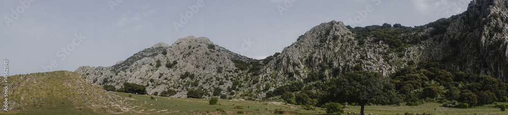 llano del republicano en el parque natural de Grazalema, Andalucía
