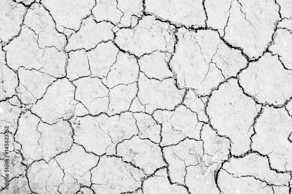 white dried land crack texture