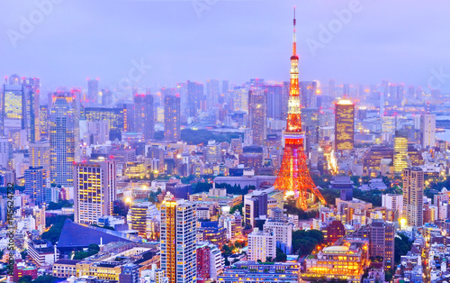 View of the Tokyo skyline at night