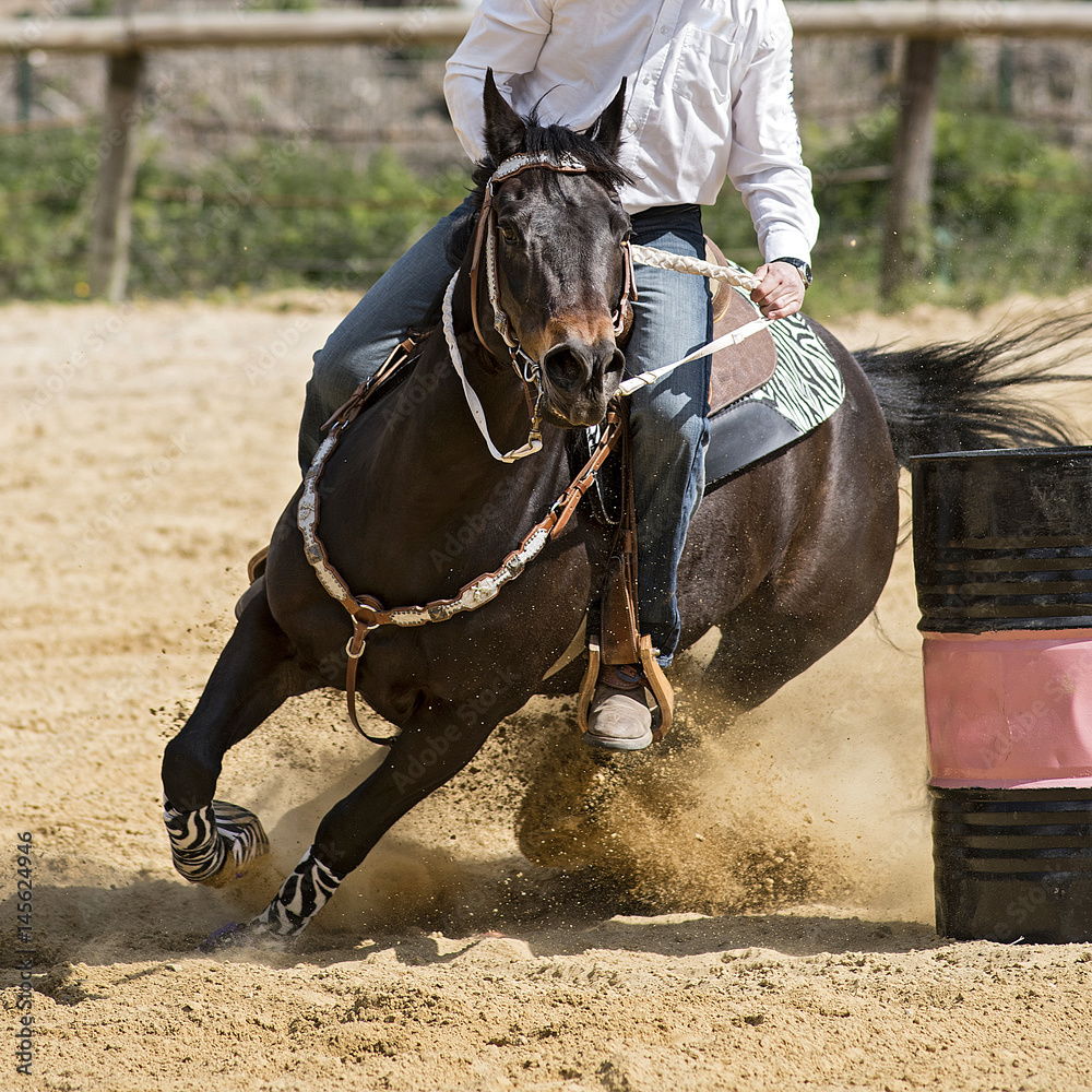 Fototapeta premium équitation western, épreuve de barrel racing