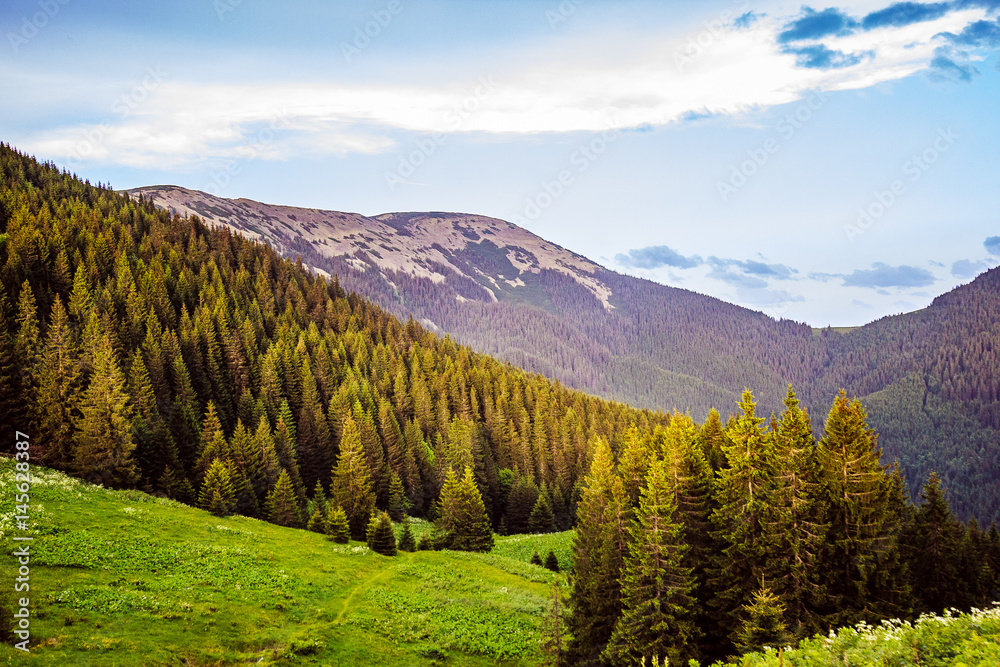 Best Shot Ukrainian Carpathians