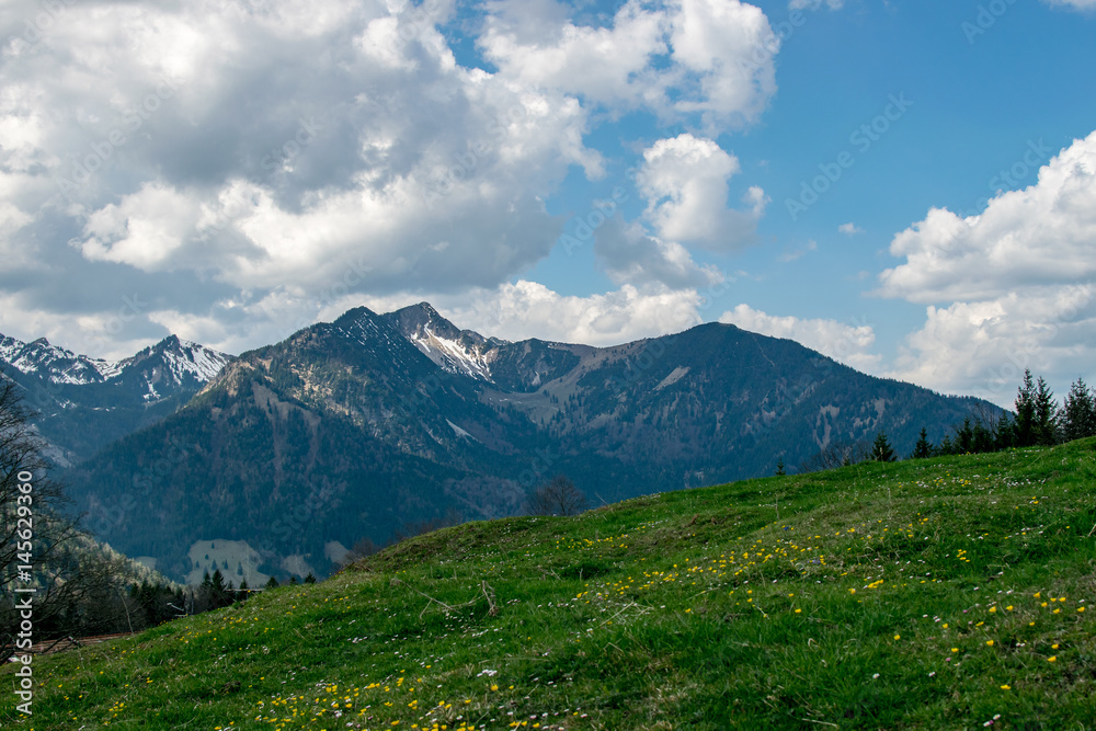 Ausblick auf die Berge und blauem Himmel mit einer Wiese im Vordergrund