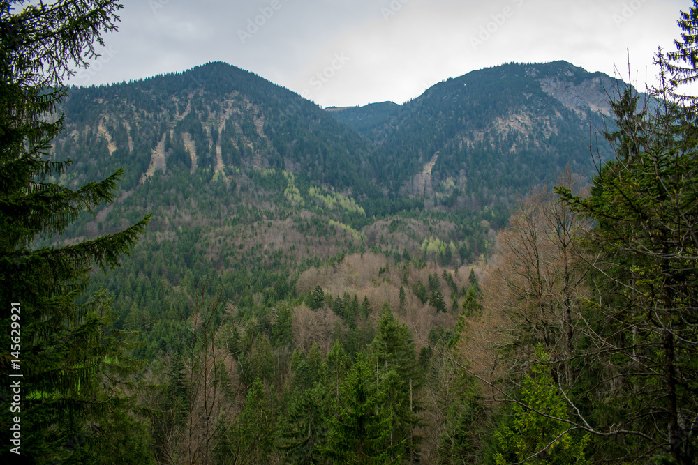 Ausblick auf die Berge bei bewölktem Wetter mit einm Wald im Vordergrund