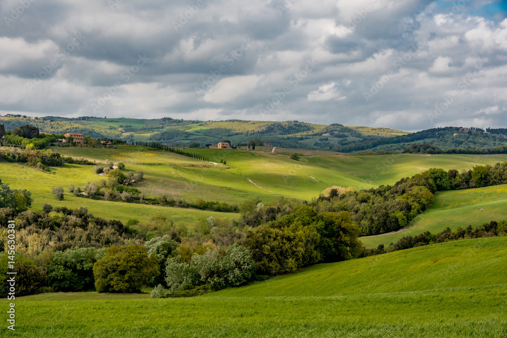 Panorama of Volterra's lands and hills in the spring