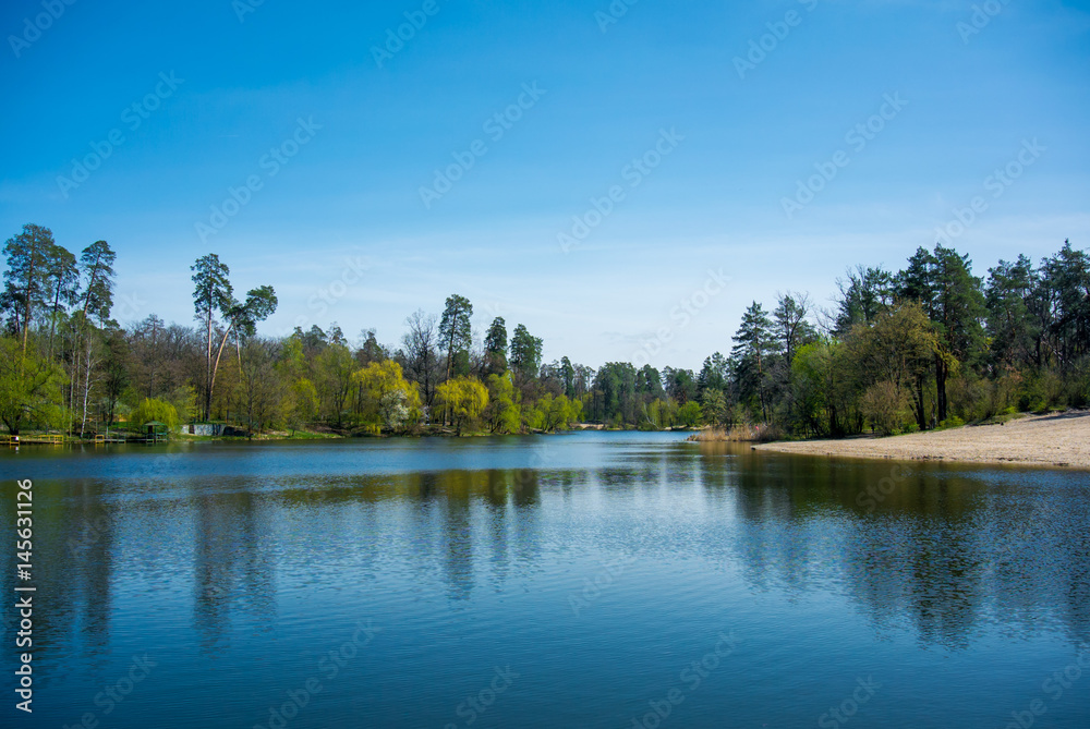 Quiet forest lake
Quiet forest lake