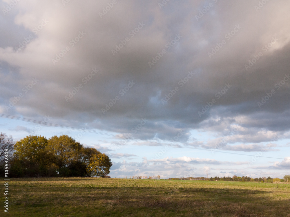 wonderful full detail landscape shots of the farm in the country with an open field and some trees and forest in the distance with plenty of white thick clouds overhead