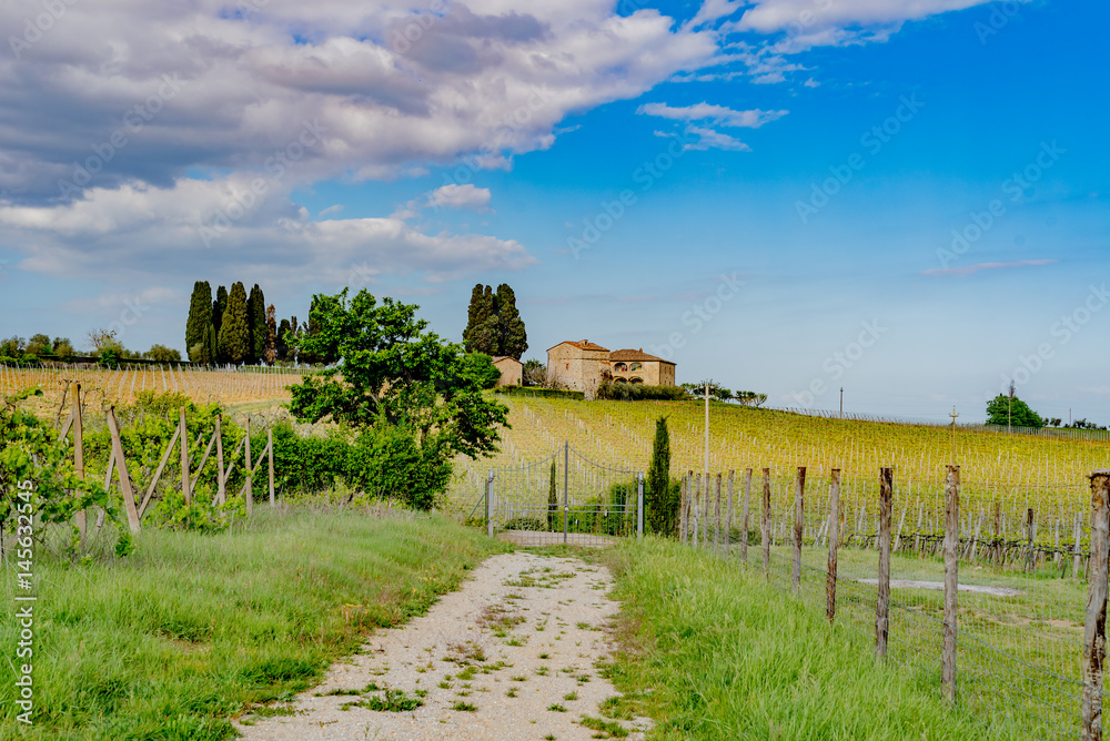 Villas and stone houses in the Tuscan Chianti region