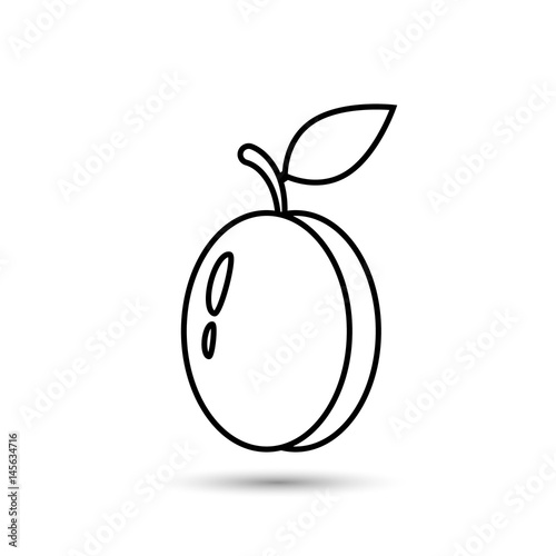 Apricot or plum with leave line icon, vector isolated illustration.