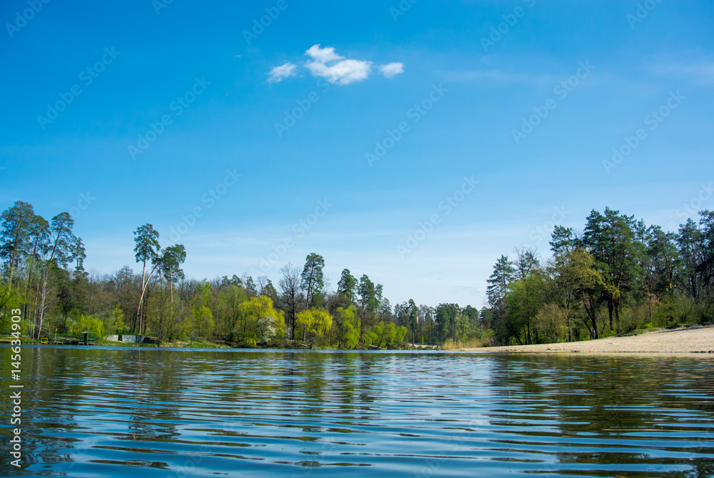 Obraz premium Quiet forest lake 