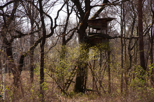 Hochstand im Wald