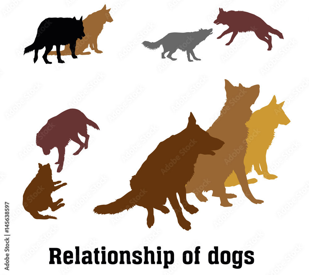 Vector group of dogs