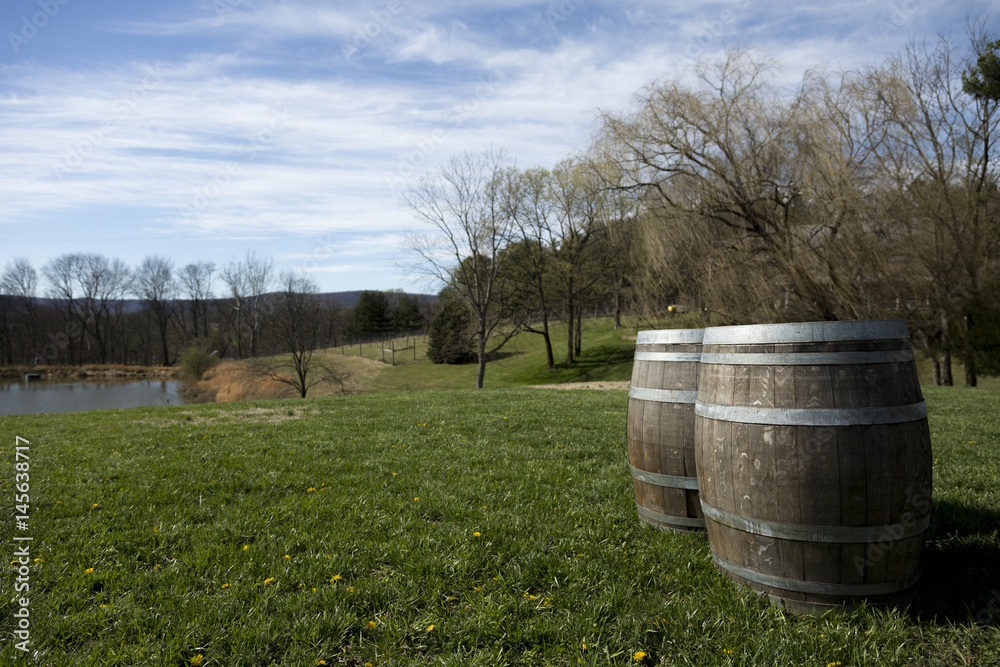 Obraz premium Wine Barrel