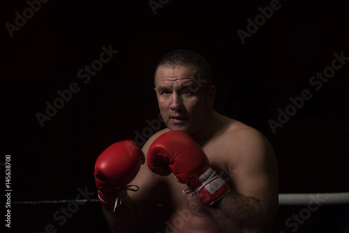 professional kickboxer in the training ring © .shock
