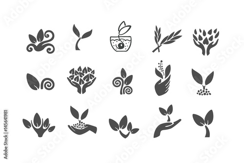 Set of black leaves design elements. Plant and sprout growing icons flat line design vector.