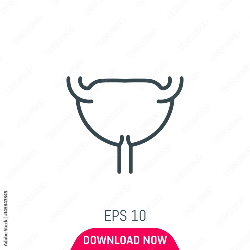 Uterus icon, vector Uterus icon, vector