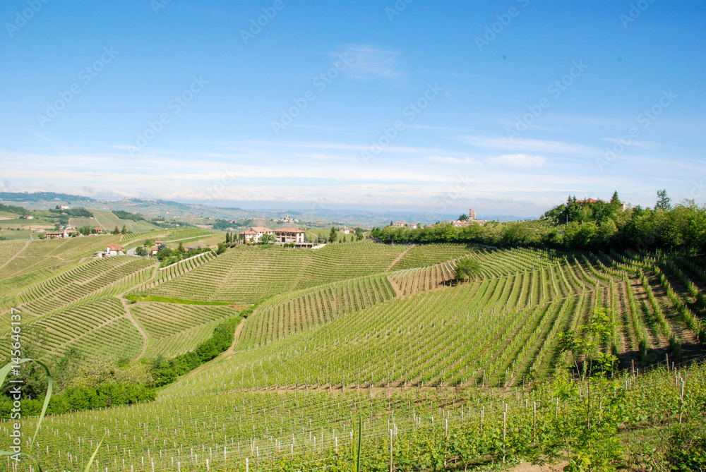 Colline delle Langhe Colline delle Langhe