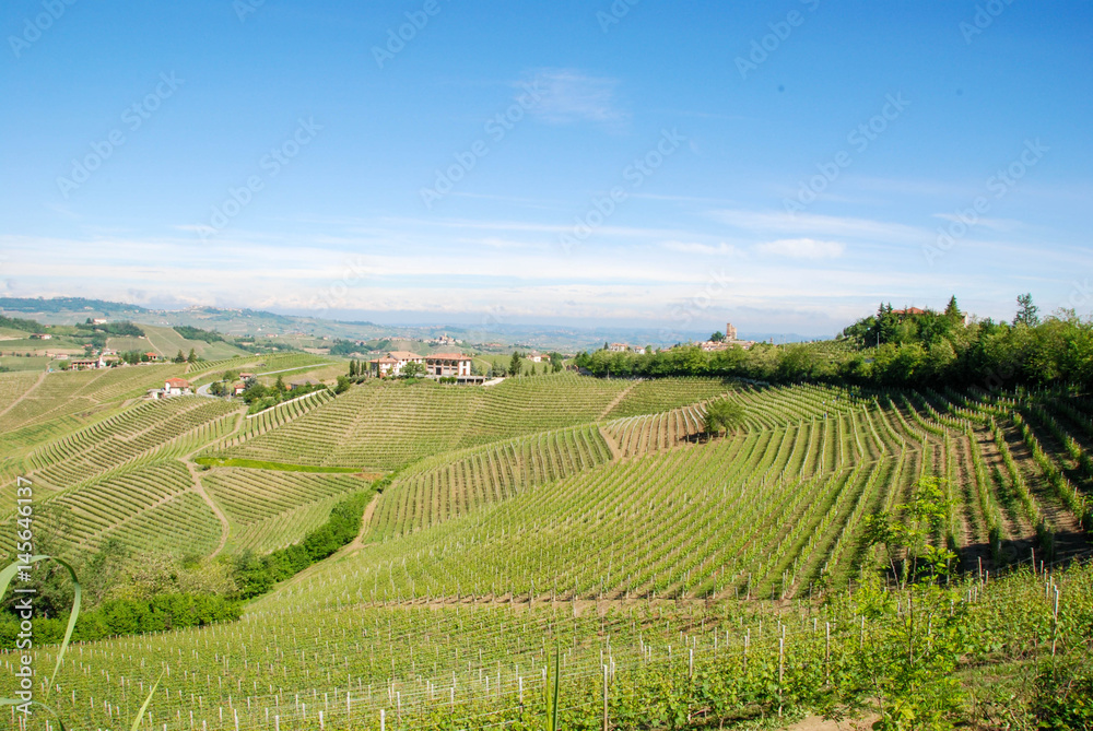 Colline delle Langhe