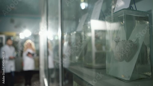 Two young students discuss in class on anatomy background embalmed human heart.