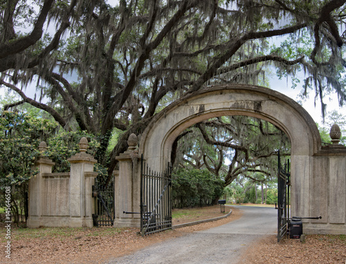 Wormsole Plantation gate in early spring