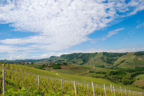 Colline delle Langhe photo