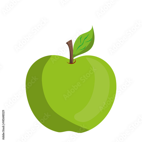 apple fruit icon over white background. vector illustration