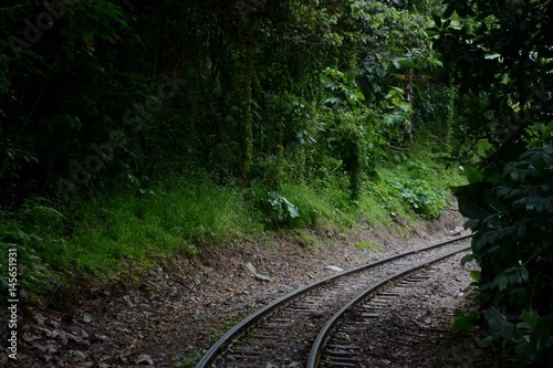 Railway line in the Peruvian deep green jungle winding its way to Machu Picchu.