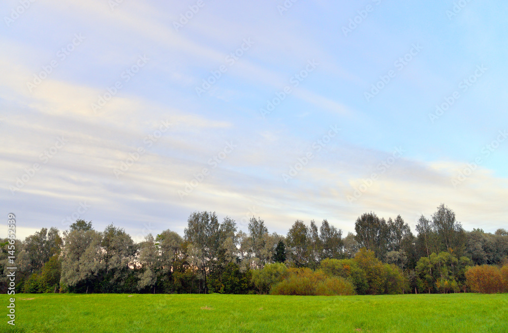 Fototapeta premium Park at autumn.