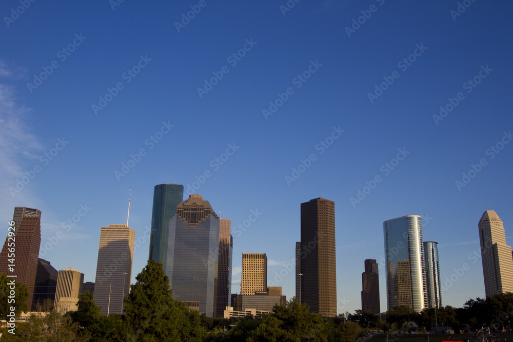 Houston Skyline from Buffalo Bayou Park
